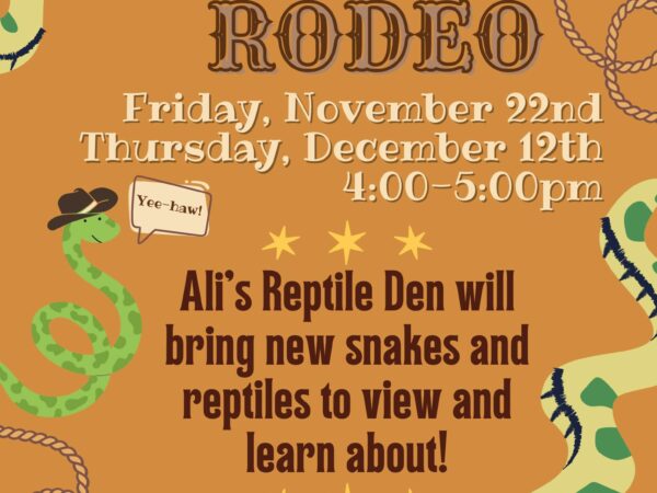 Reptile Rodeo